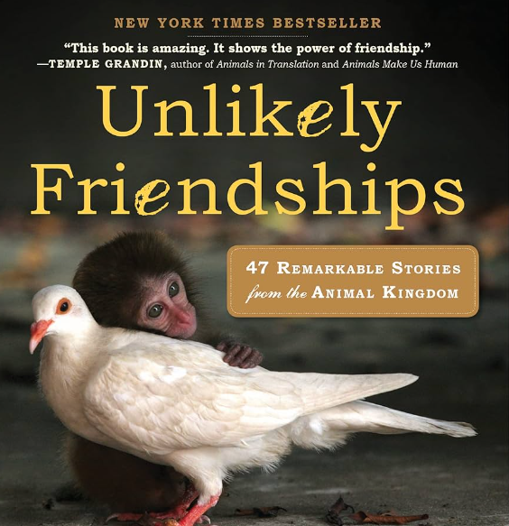 The Unlikely Friendship: A Morning Mystery and a Heartwarming Gesture